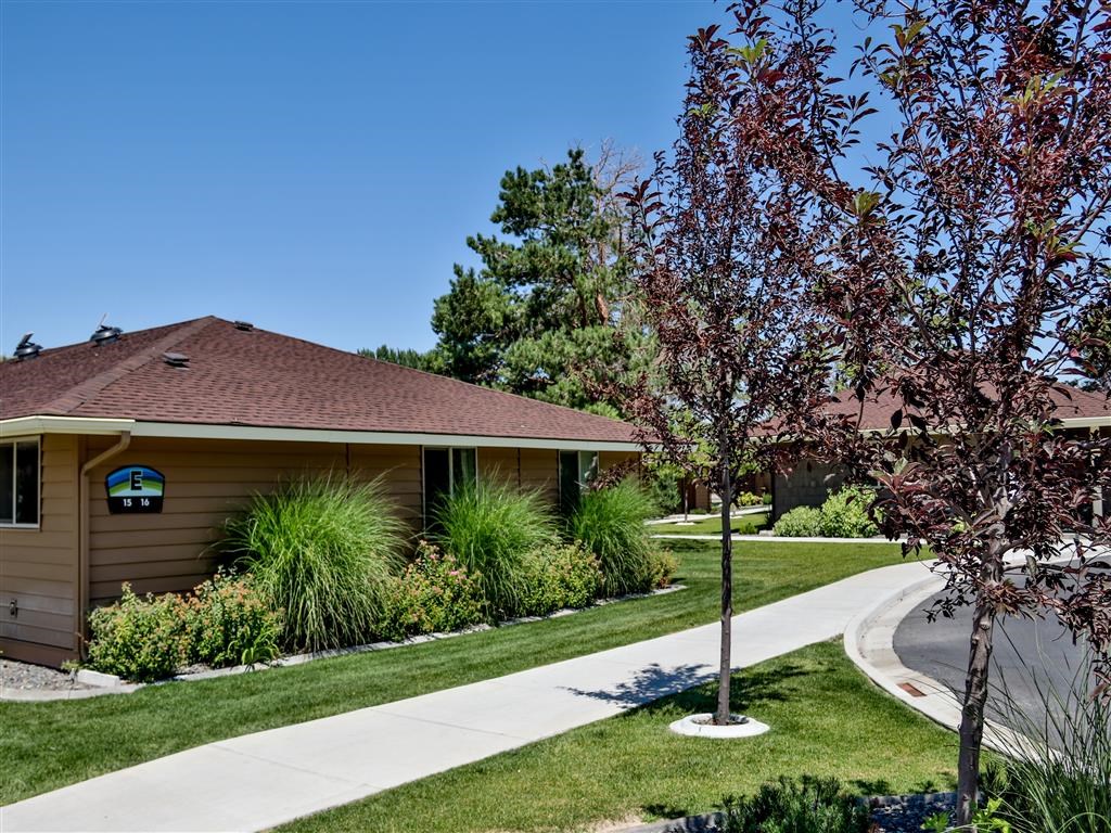 a house with a sidewalk and a tree in front of it