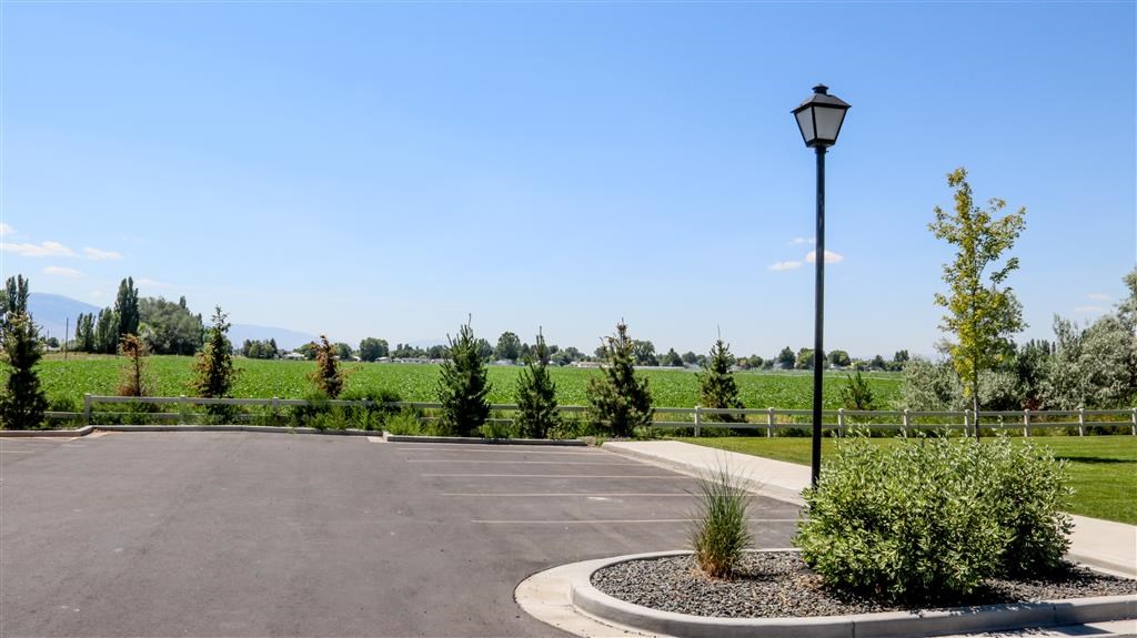 a parking lot with trees and a street light