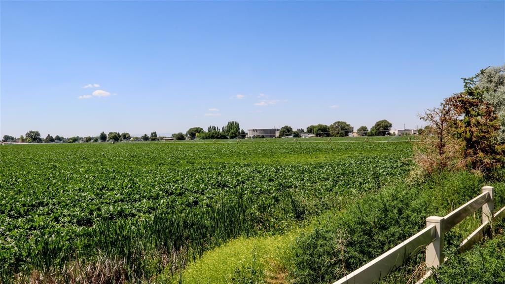a field of green crops with a white fence