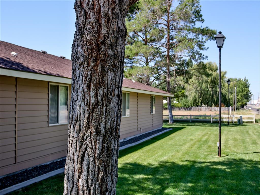 a house with a tree in front of it