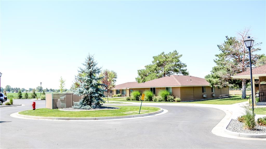 a street in front of a house with a street light