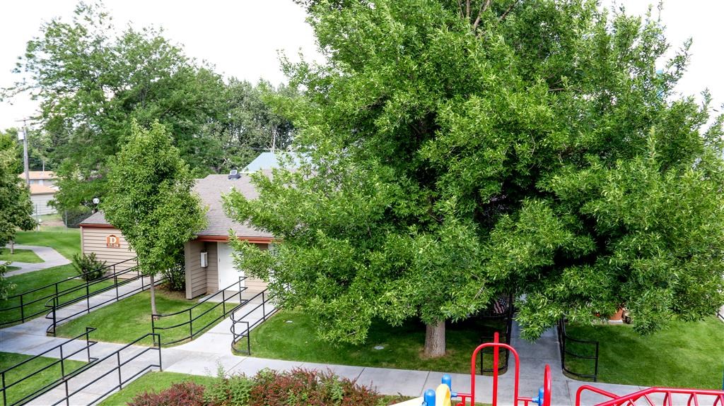 a park with a playground and trees