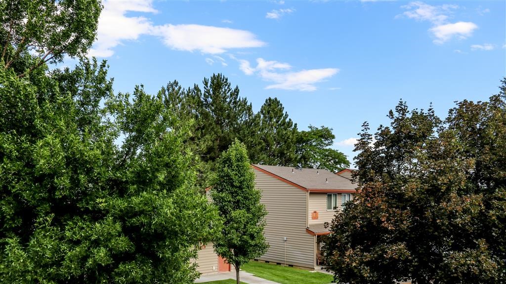 a house with trees in front of it