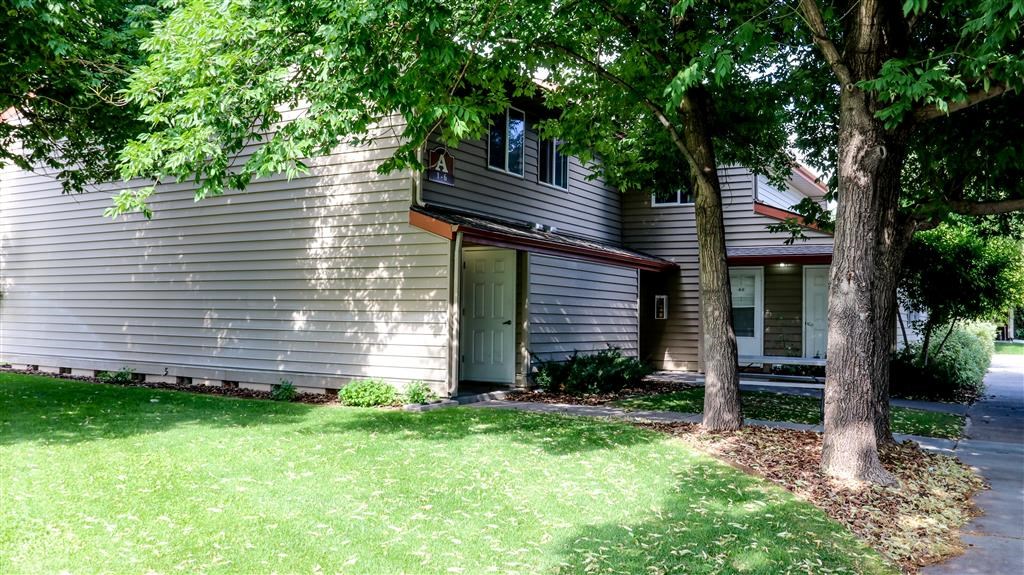 a white house with a tree in front of it