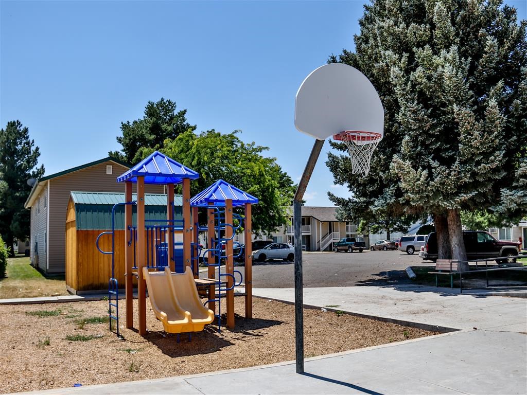 a playground with a basketball hoop and a swing set