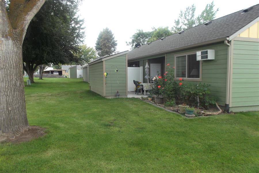 a backyard with a green house and a tree
