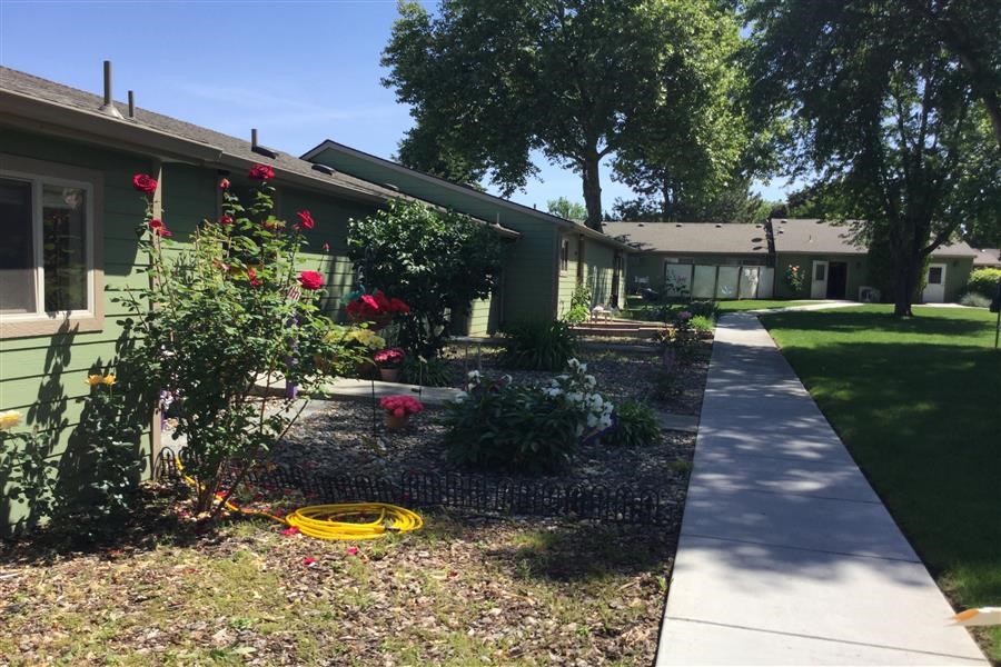 a sidewalk in front of a house with plants and flowers
