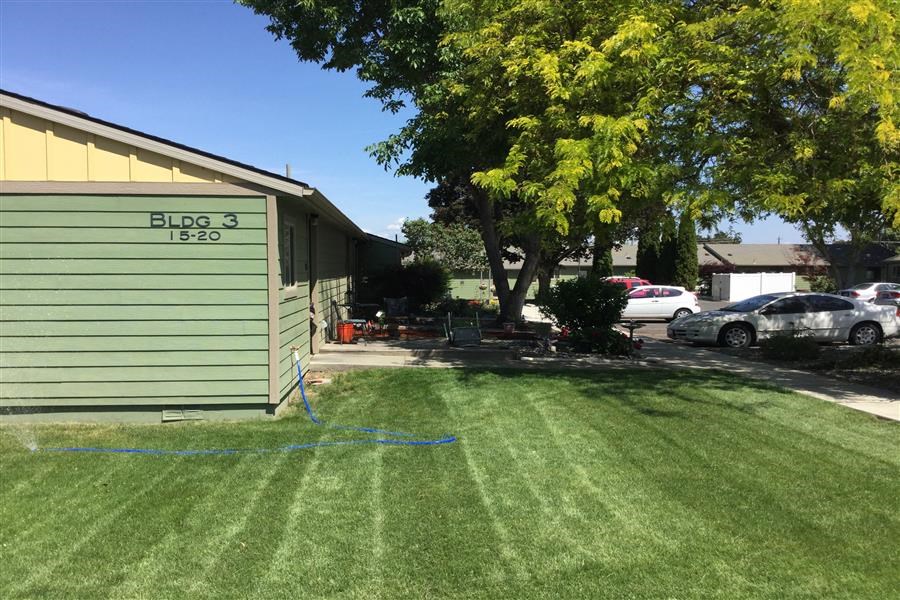 a green house with a yard and a tree