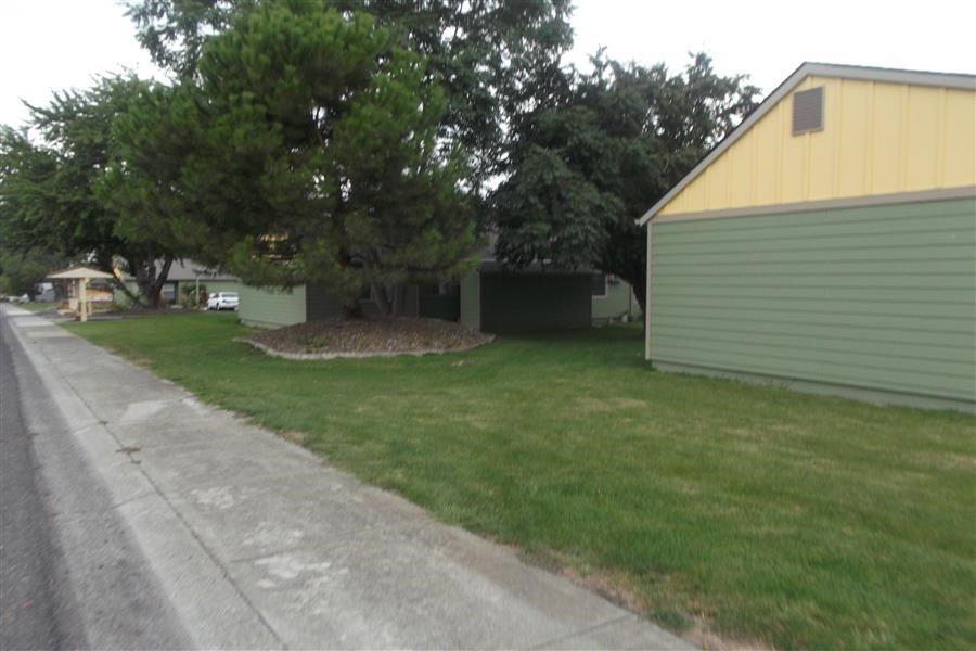 a yard with a house and a tree next to a street