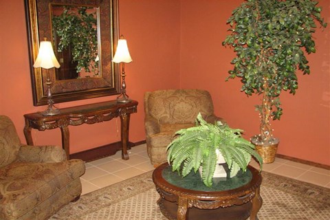 a living room with chairs and a table with a potted plant