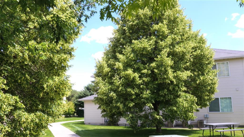 a house with a picnic table and a tree