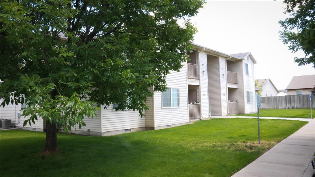 a white house with a tree in front of it