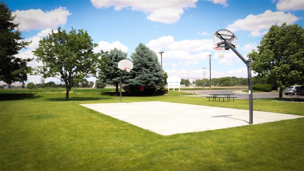 the basketball court is in the middle of the grass