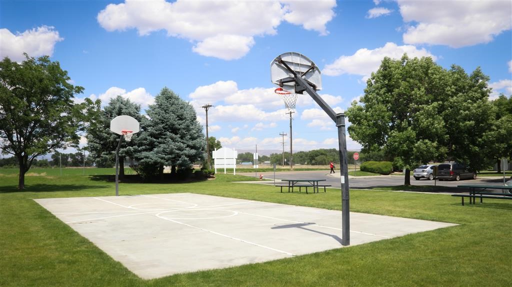 a basketball court in the middle of a park