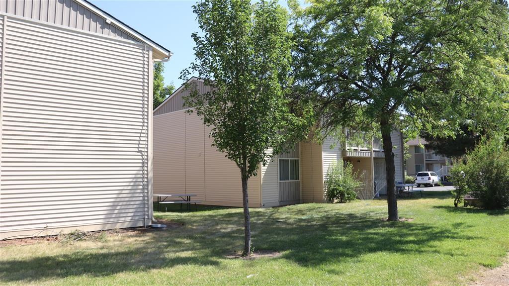the side of a house with two trees in the yard