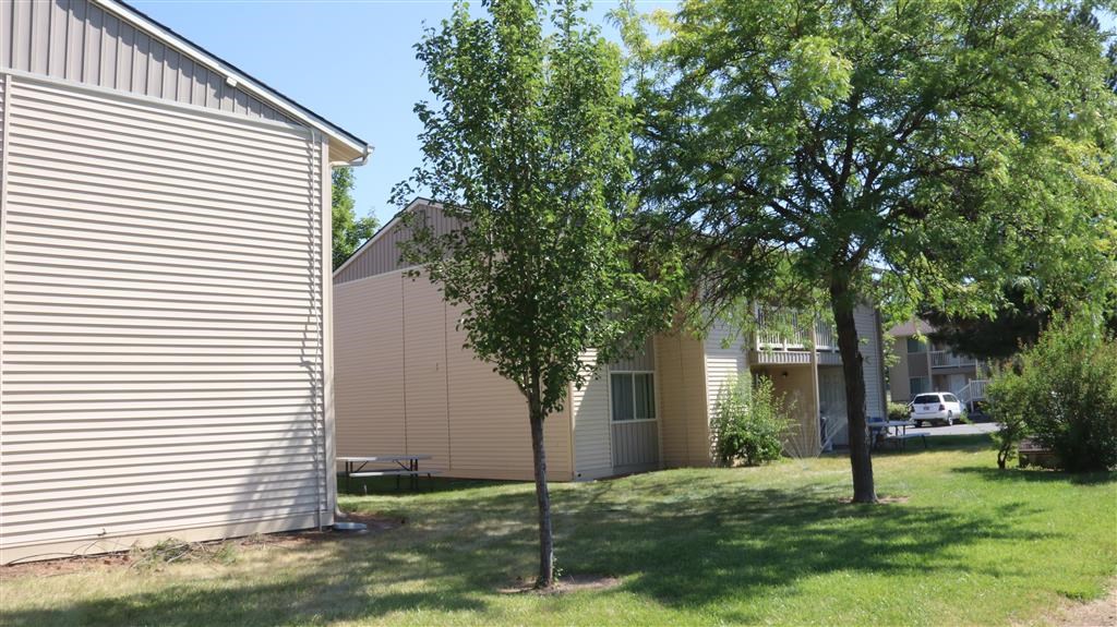 the side of a house with two trees in the yard