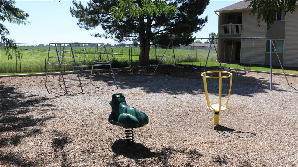 a playground with a swing set and a tree