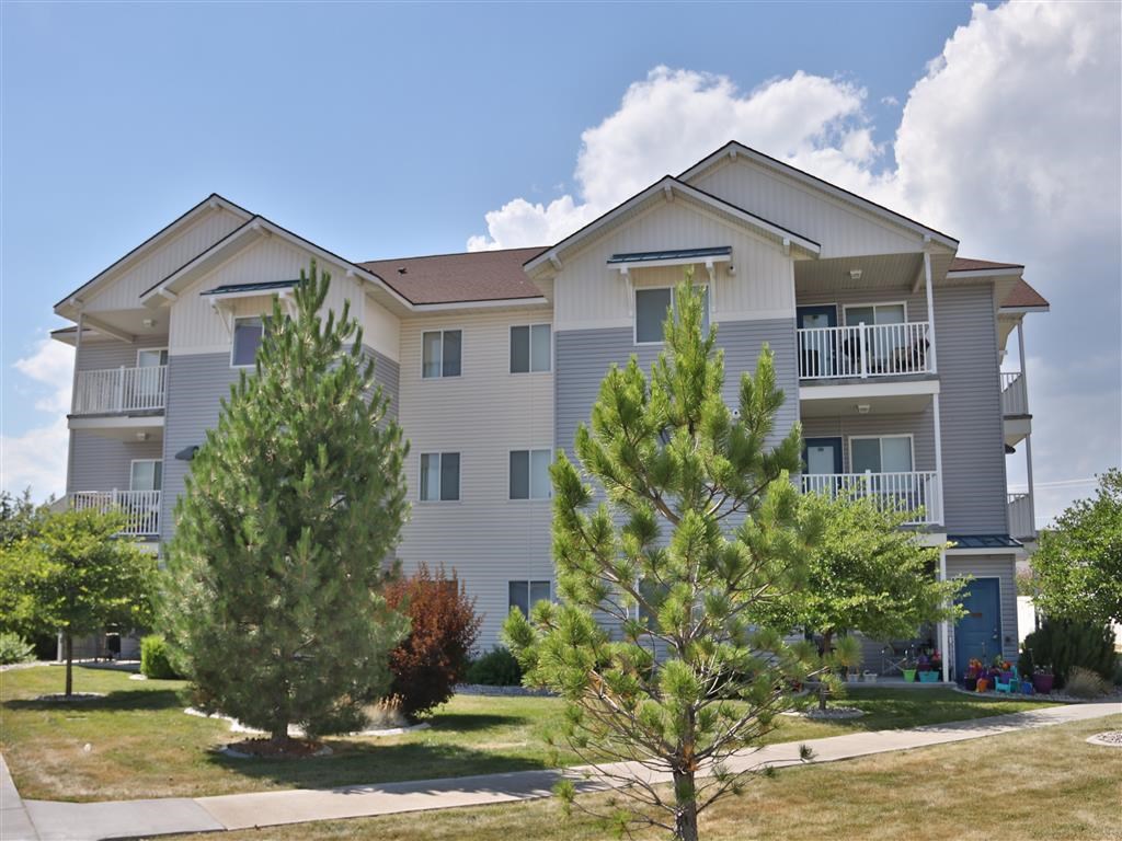 the building where the apartment is located