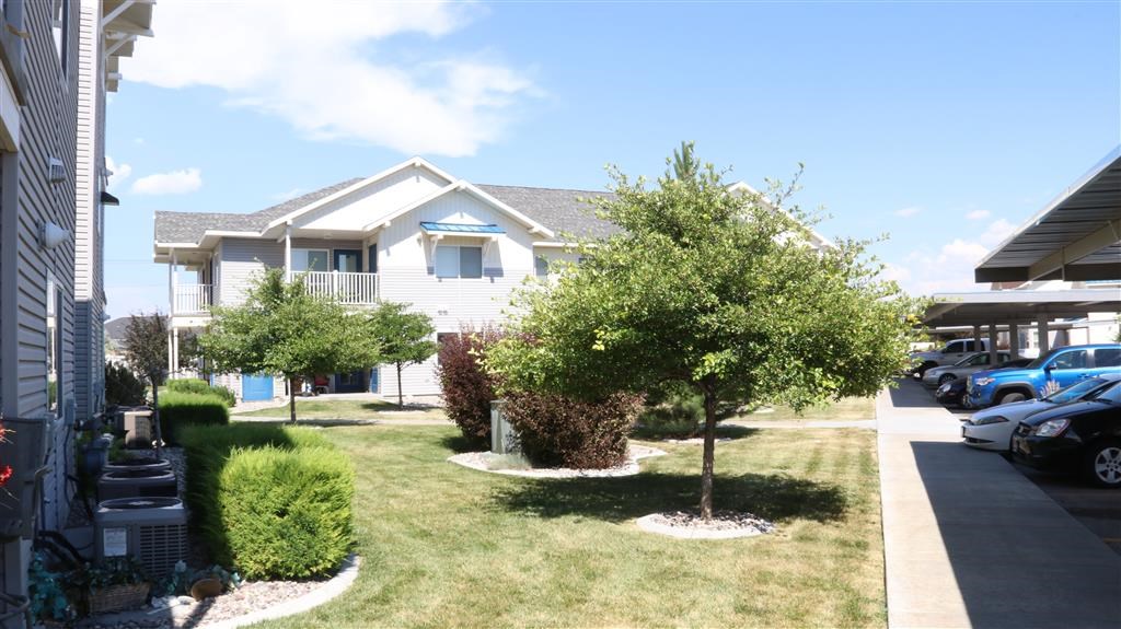 a house with a yard and trees in front of it