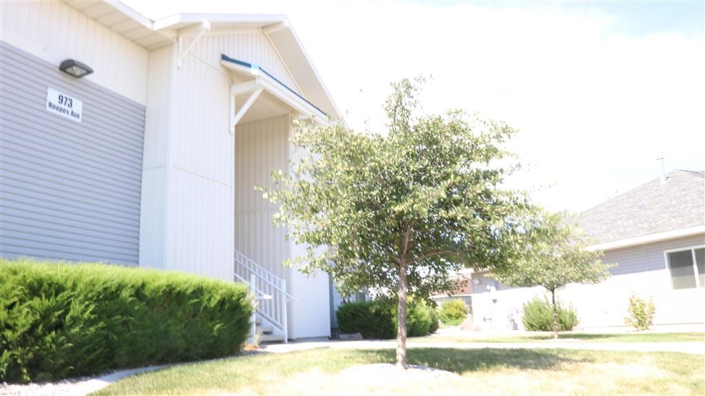 a white building with a tree in front of it