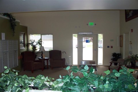 a living room with a couch and chairs and plants