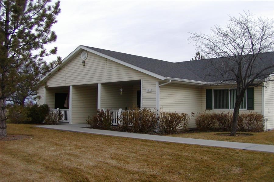 a white house with a porch and a tree