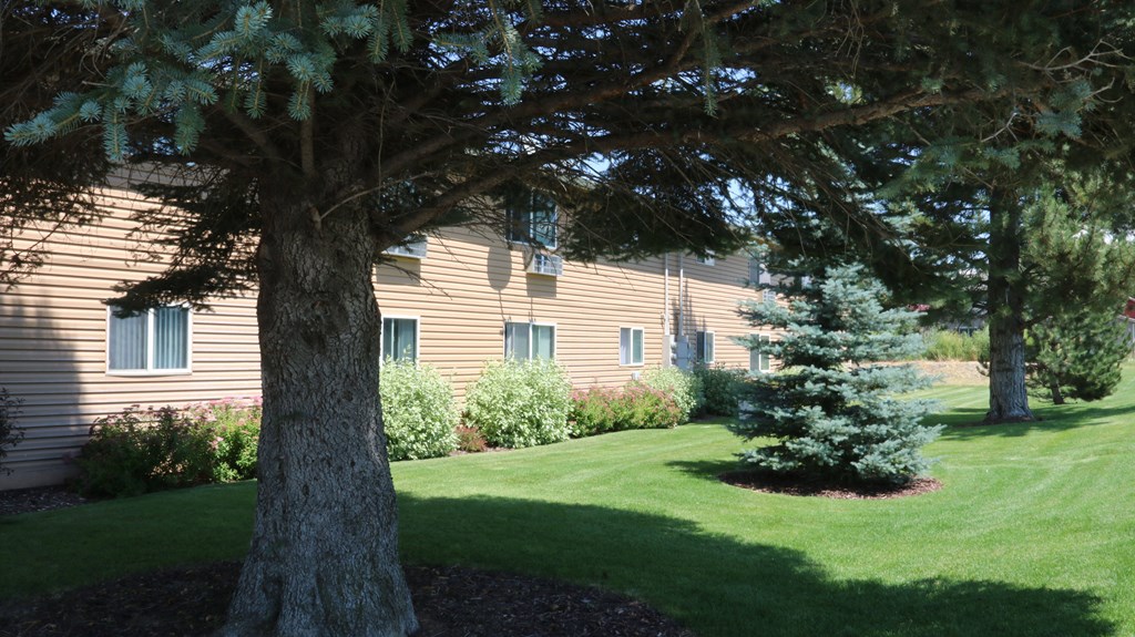 a view of the side of a building with a yard and tree