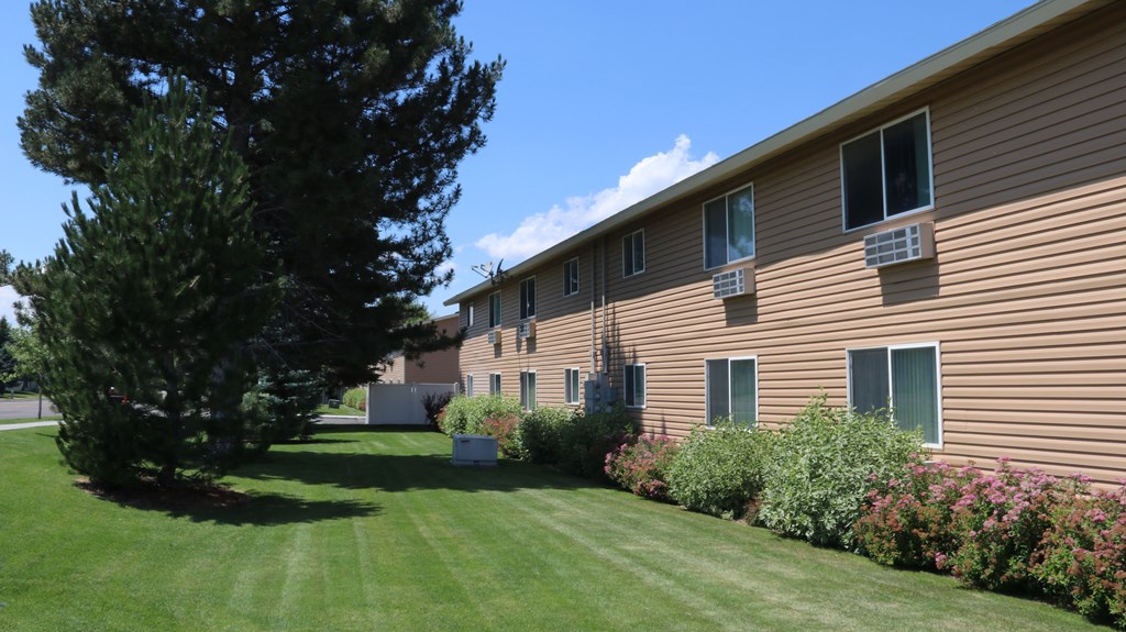 the side of a building with a lawn and a tree
