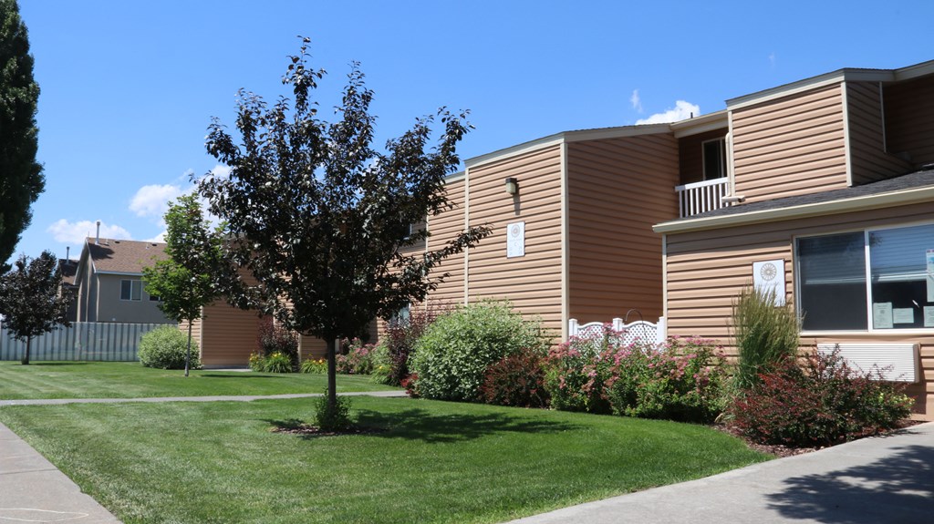 a tree in the front yard of an apartment building