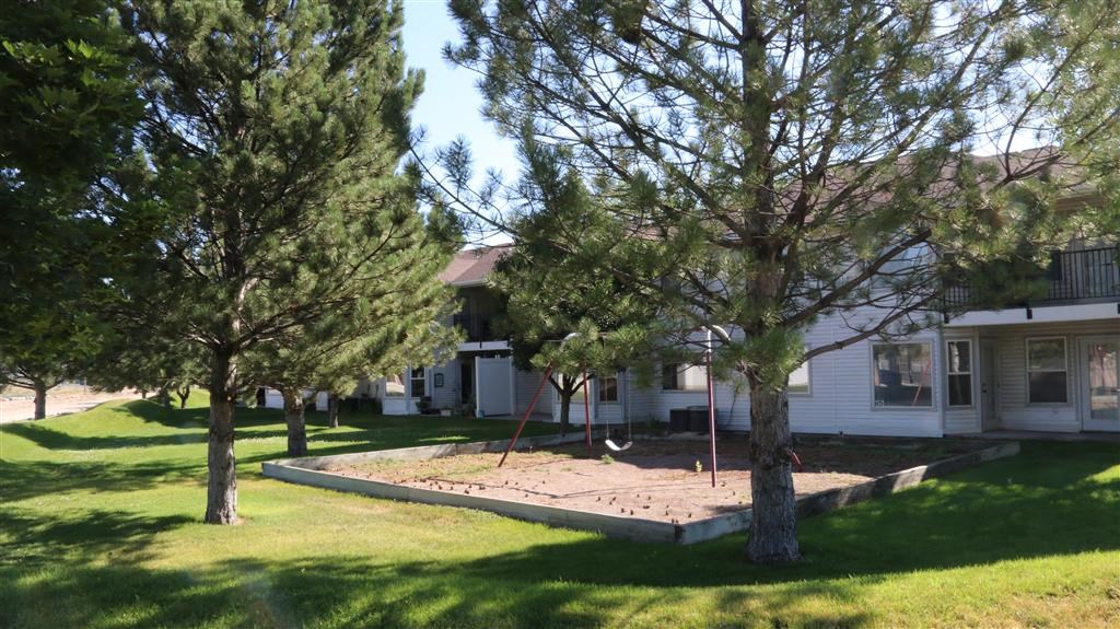 a yard with a swing in front of a house