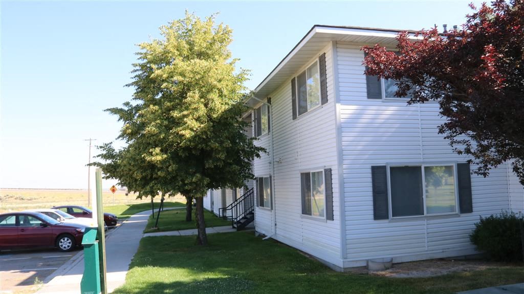 a white house with a tree in front of it