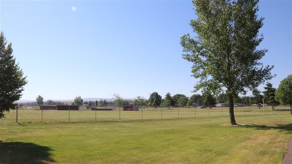 a field with a tree and a fence