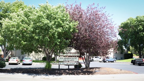 a sign for a church in the middle of a parking lot