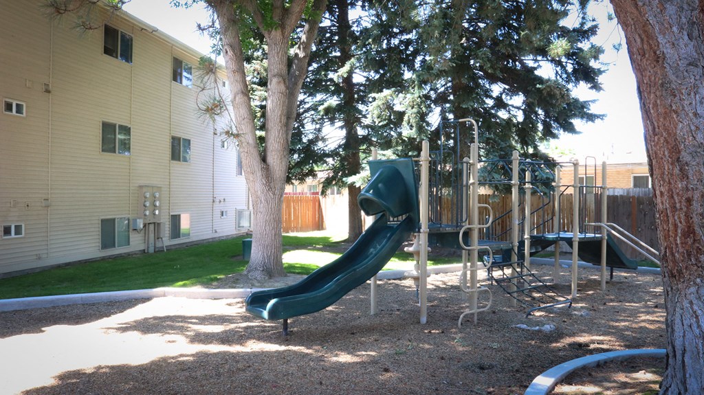 a playground with a slide and a tree