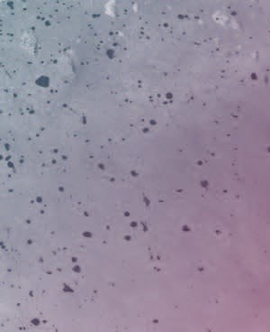 A02
