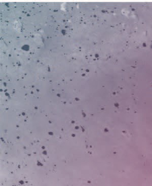 A04