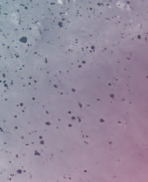 B02