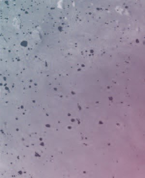 B05