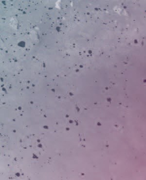 B07