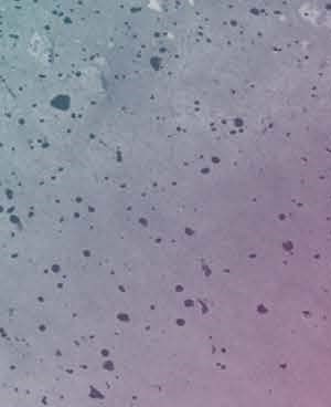 B08