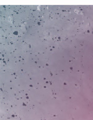 B09