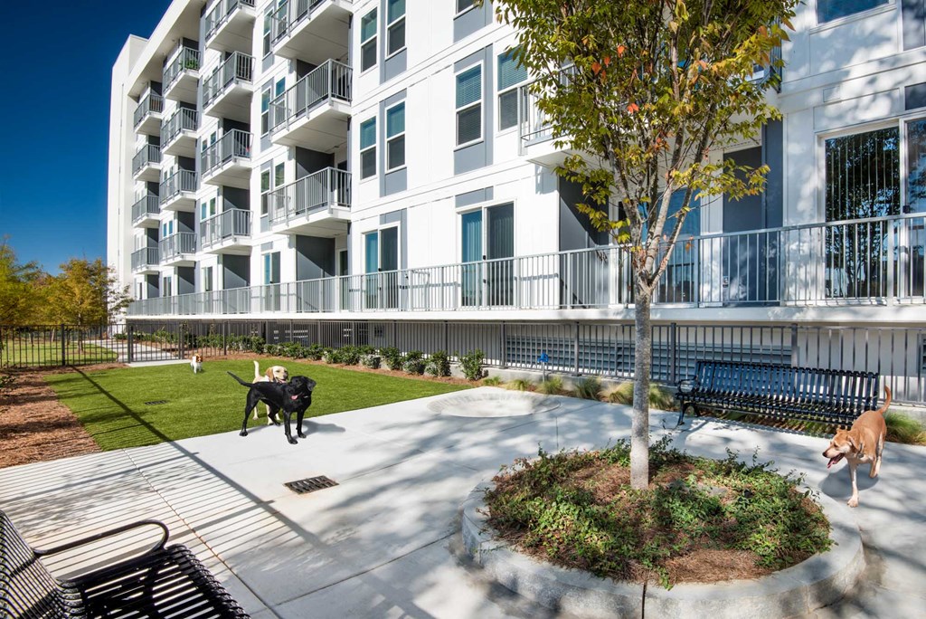 a man sitting on a bench with a dog in front of an apartment building
