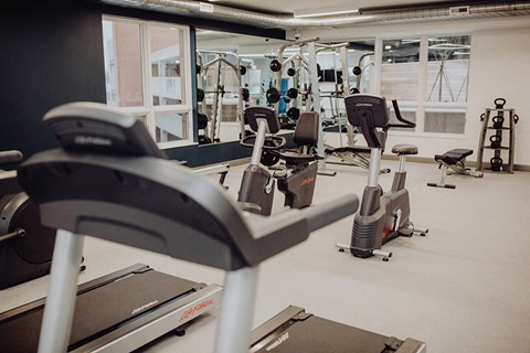 a gym with a lot of exercise equipment in it