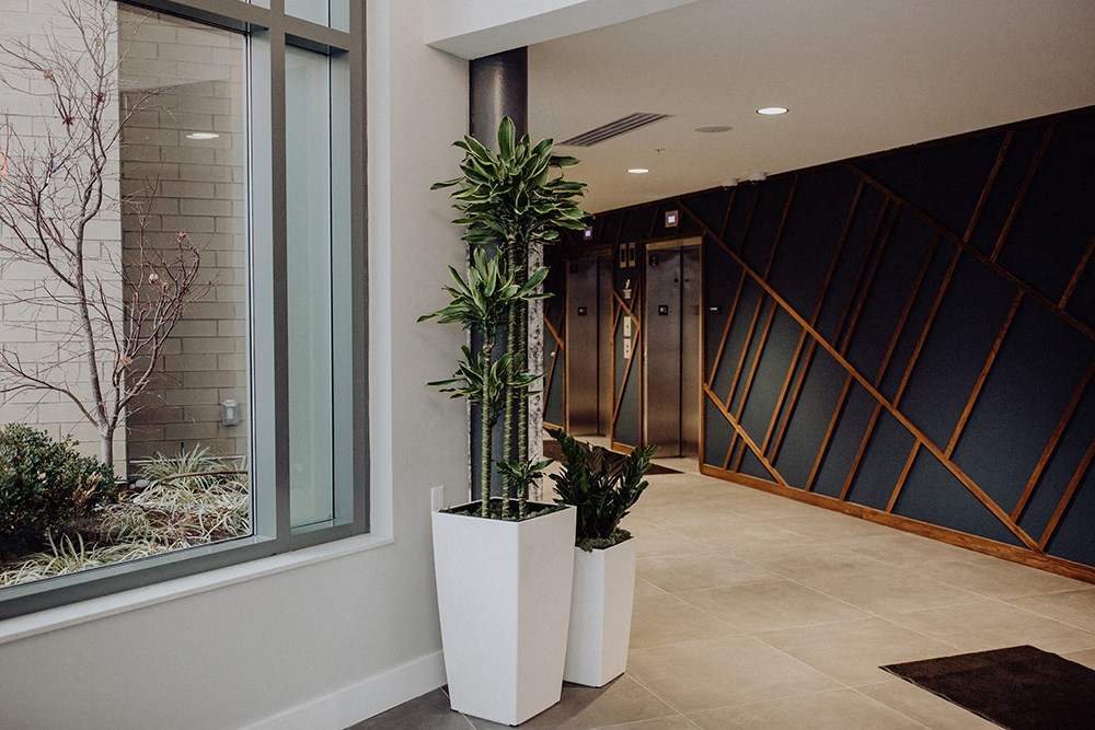 a view of the lobby of a building with potted plants