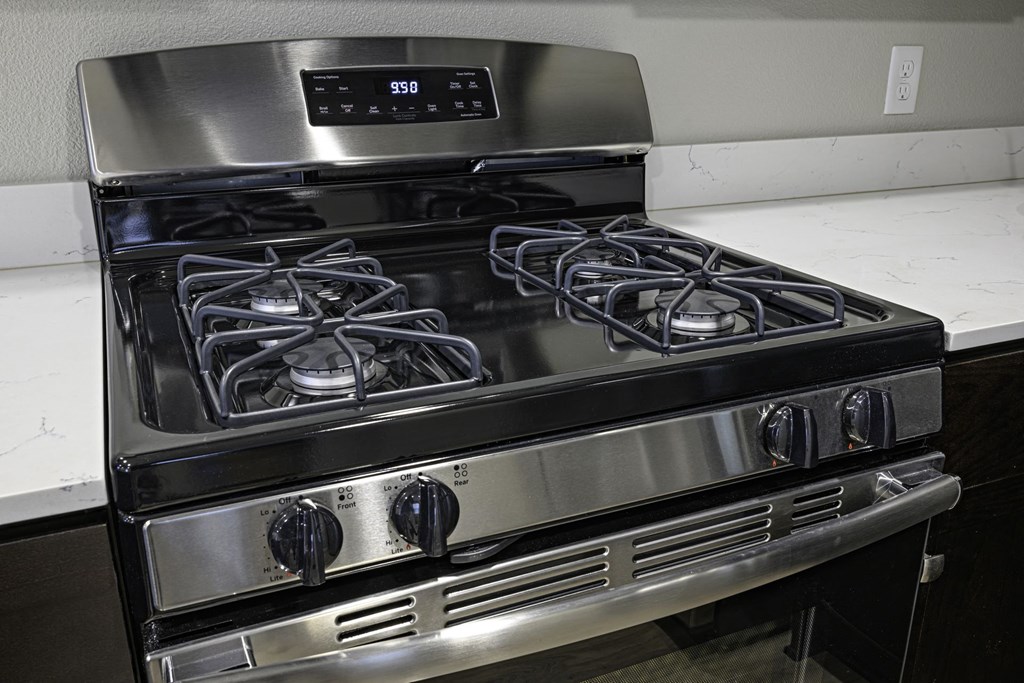 Stainless Gas Stove