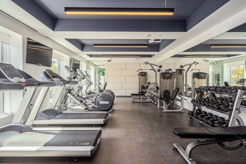 a gym with treadmills and other exercise equipment