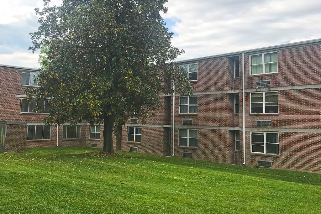 an apartment building with a tree in front of it