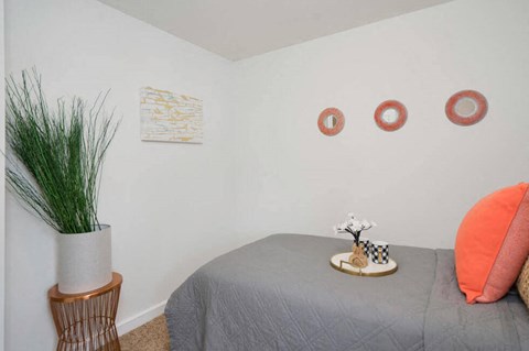 a bedroom with a bed and a plant and some paintings on the wall