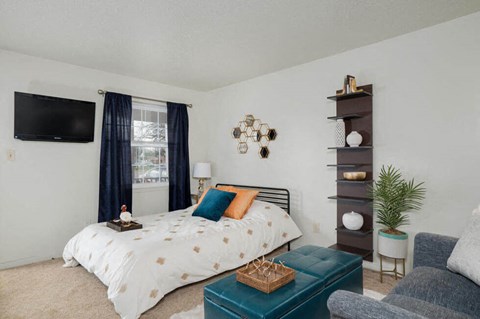 a bedroom with a bed and a couch and a tv