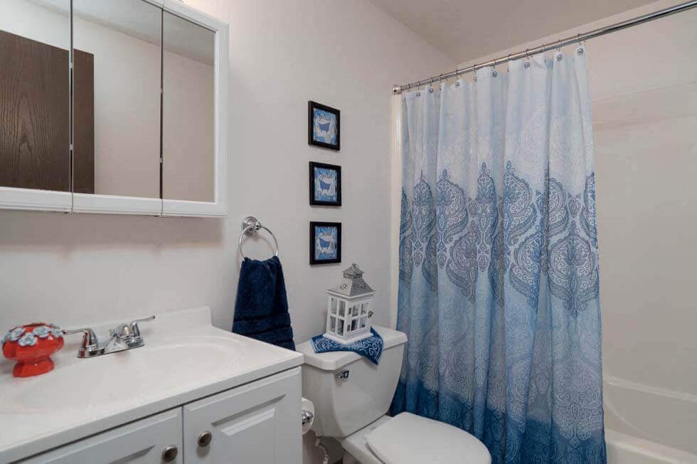 a bathroom with a sink and a toilet and a shower curtain